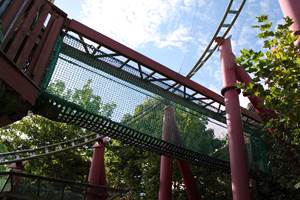 Canopy Capers, Chessington World of Adventures Resort
