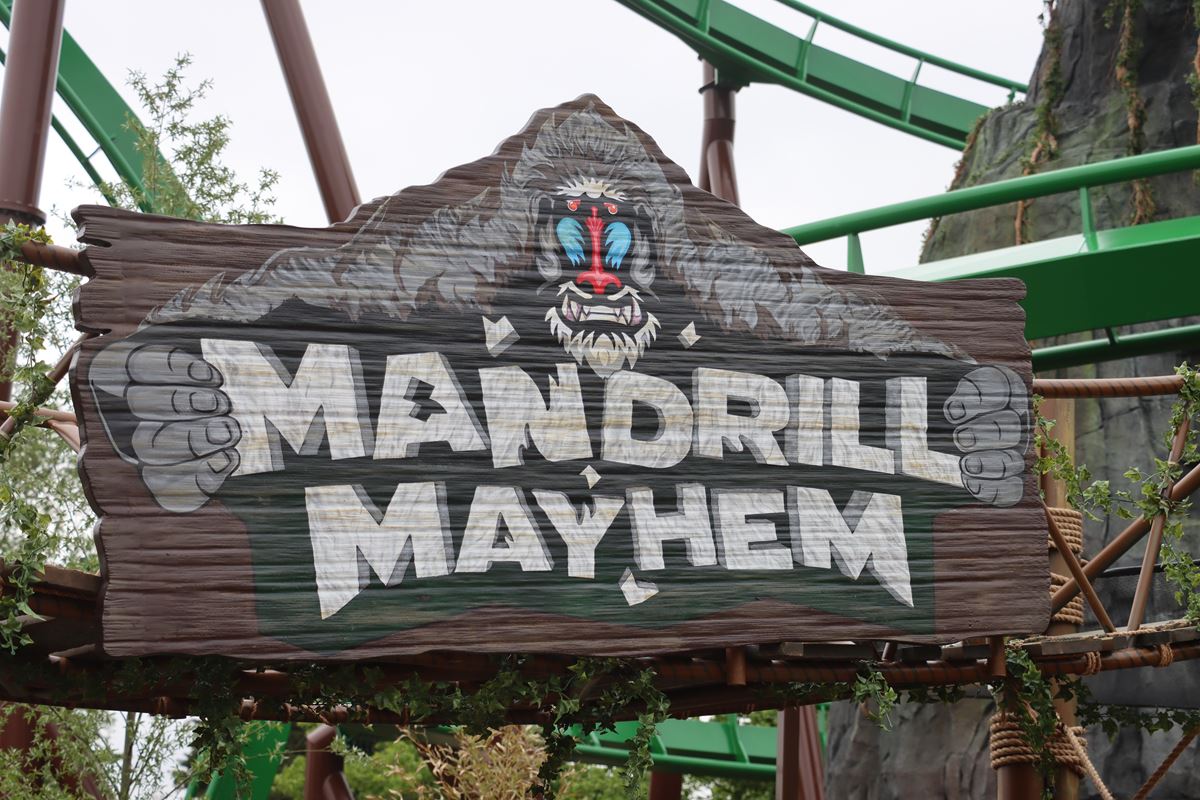 Mandrill Mayhem, Chessington World of Adventures Resort