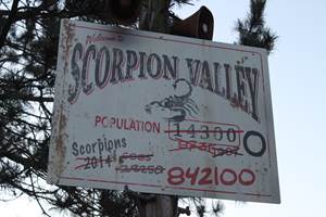 Scorpion Express, Chessington World of Adventures Resort