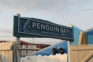 Penguin Bay Construction, Chessington World of Adventures Resort