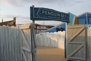 Penguin Bay Construction, Chessington World of Adventures Resort