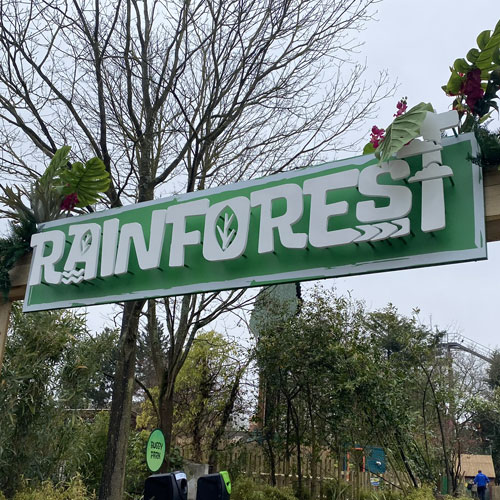 Rainforest Icon