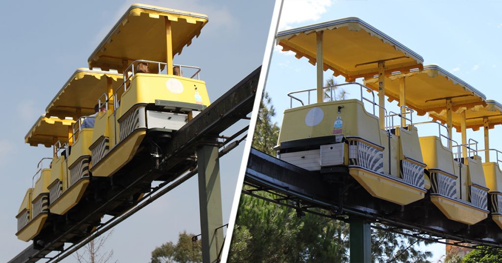 Farewell Safari Skyway