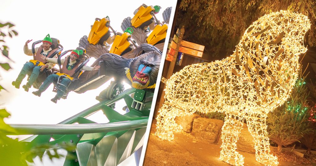 Winter’s Tail 2025 Rides Revealed