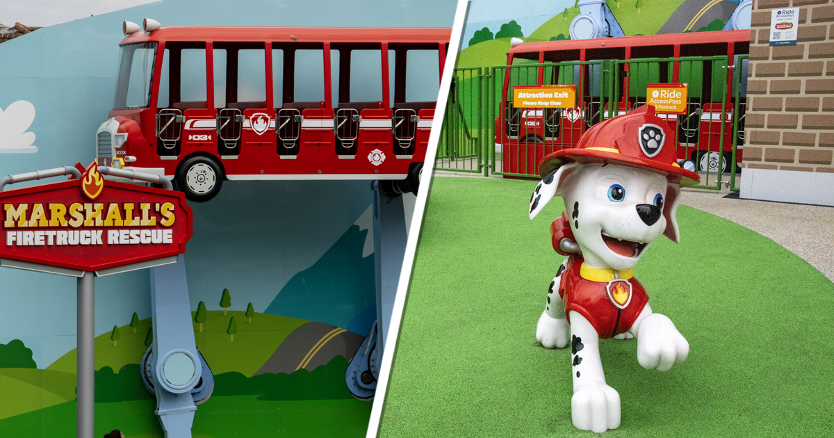 Marshall’s Firetruck Rescue